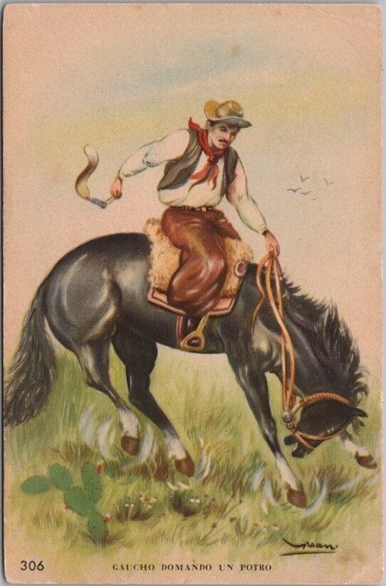 ARGENTINA Cowboy Scene Postcard \