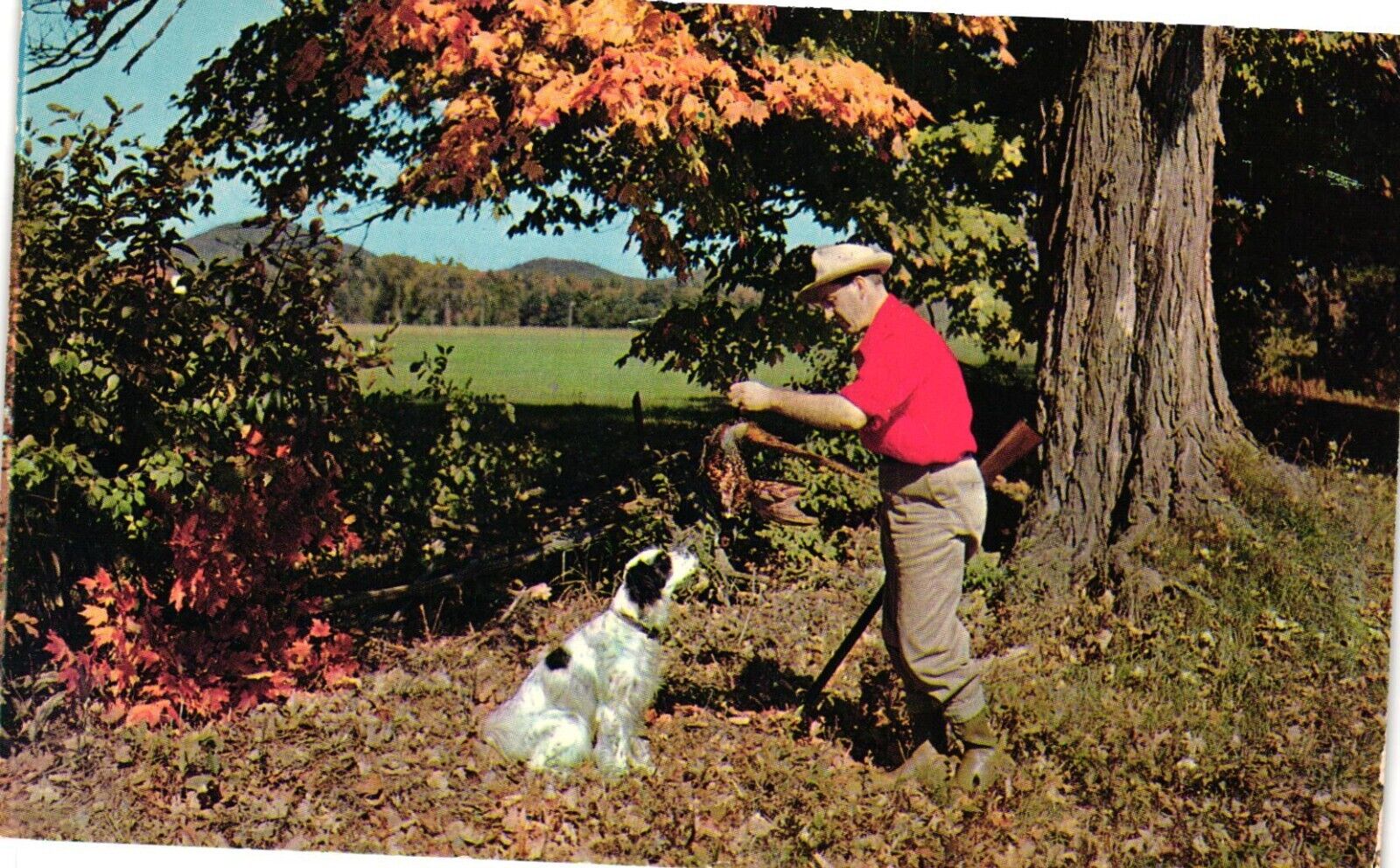 Postcard The Proud Hunter