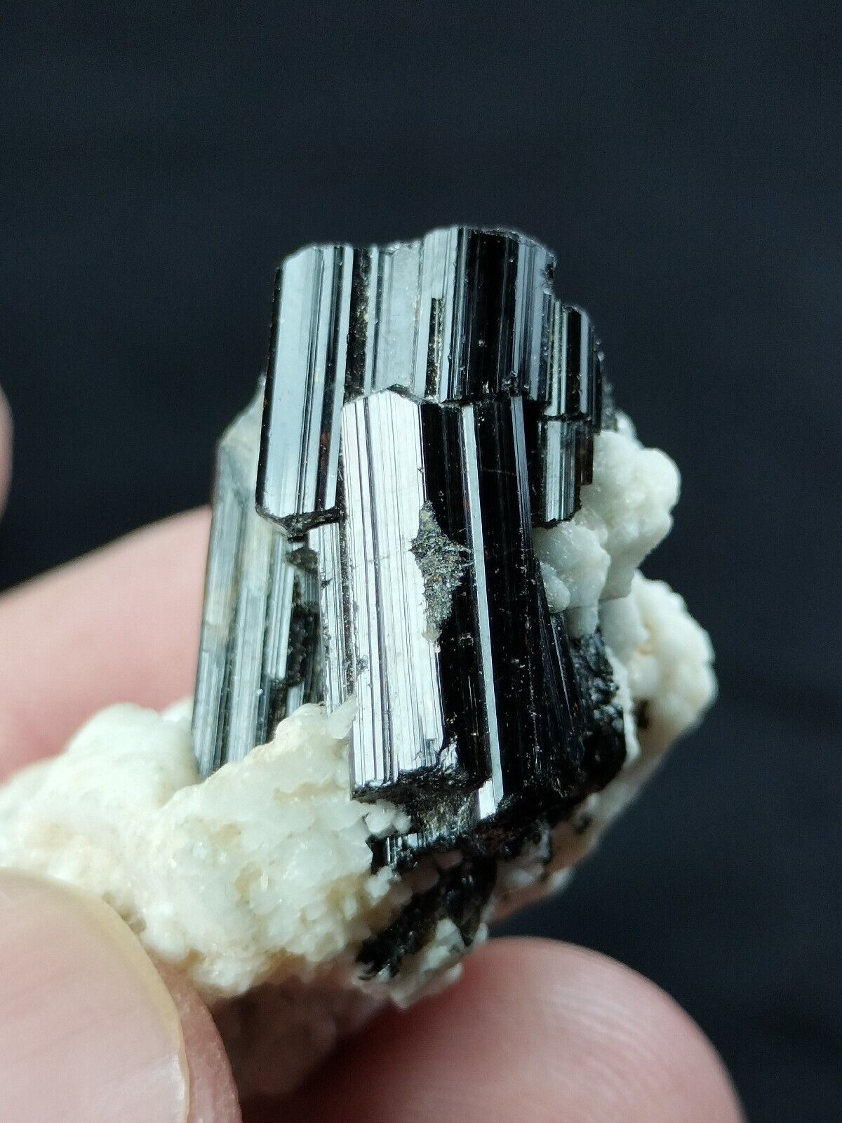 Shiny black Tourmaline thumbnail crystal combine with Albite from pak. \