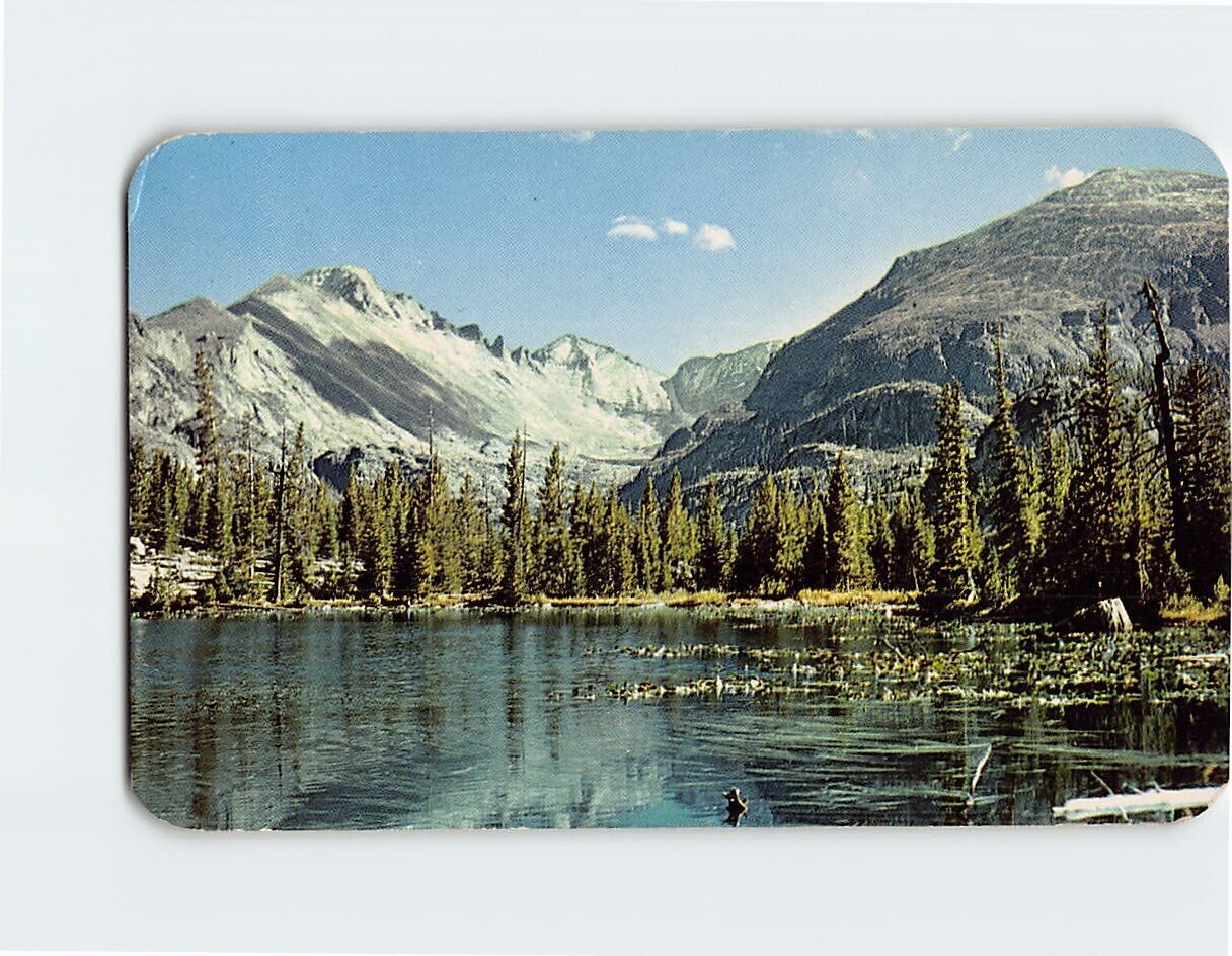 Postcard Long's Peak Nymph Lake Rocky Mountain National Park Colorado USA