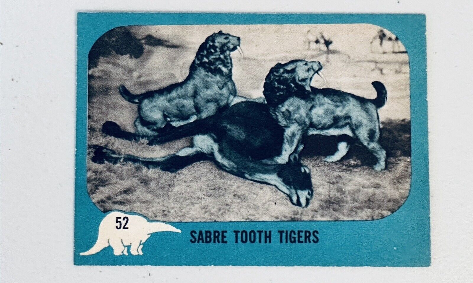 1961 Nu Card Dinosaur Series #52 EX-MT SABRE TOOTH TIGERS