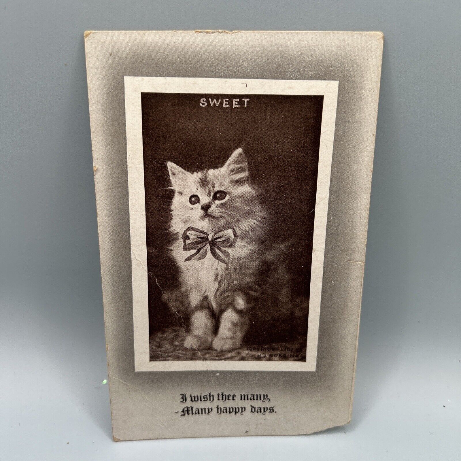 Antique Cat Postcard “Sweet” Kitten With Bow 1911 Postmarked