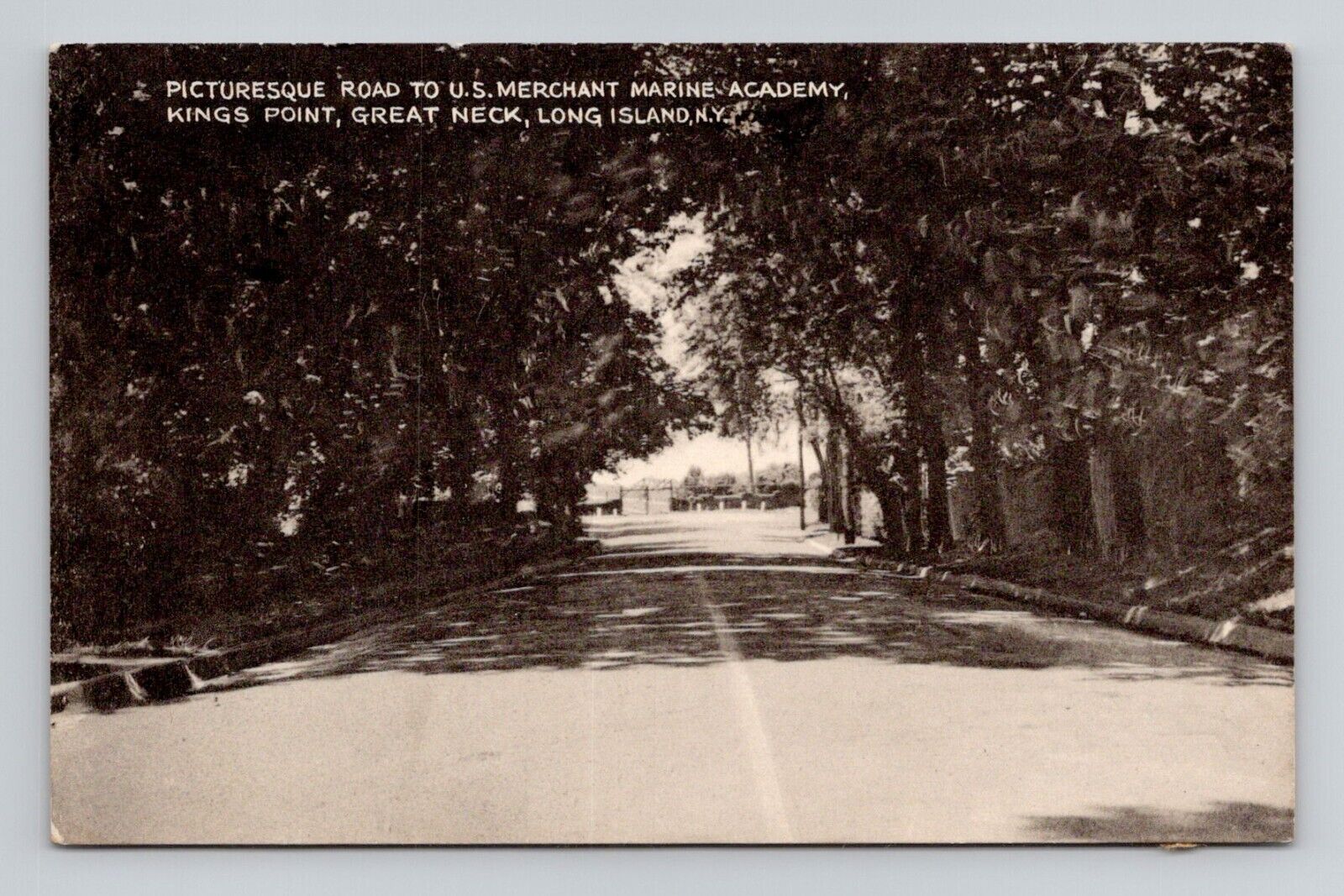 Postcard Road to Merchant Marine Academy Great Neck New York NY, Vintage C11