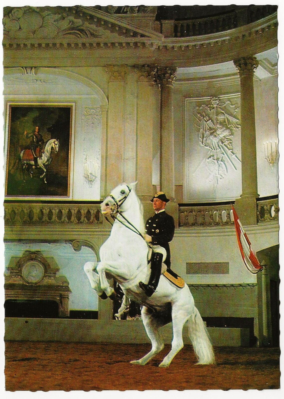 Postcard Vienna Spanish Riding School Levade MINT Unused