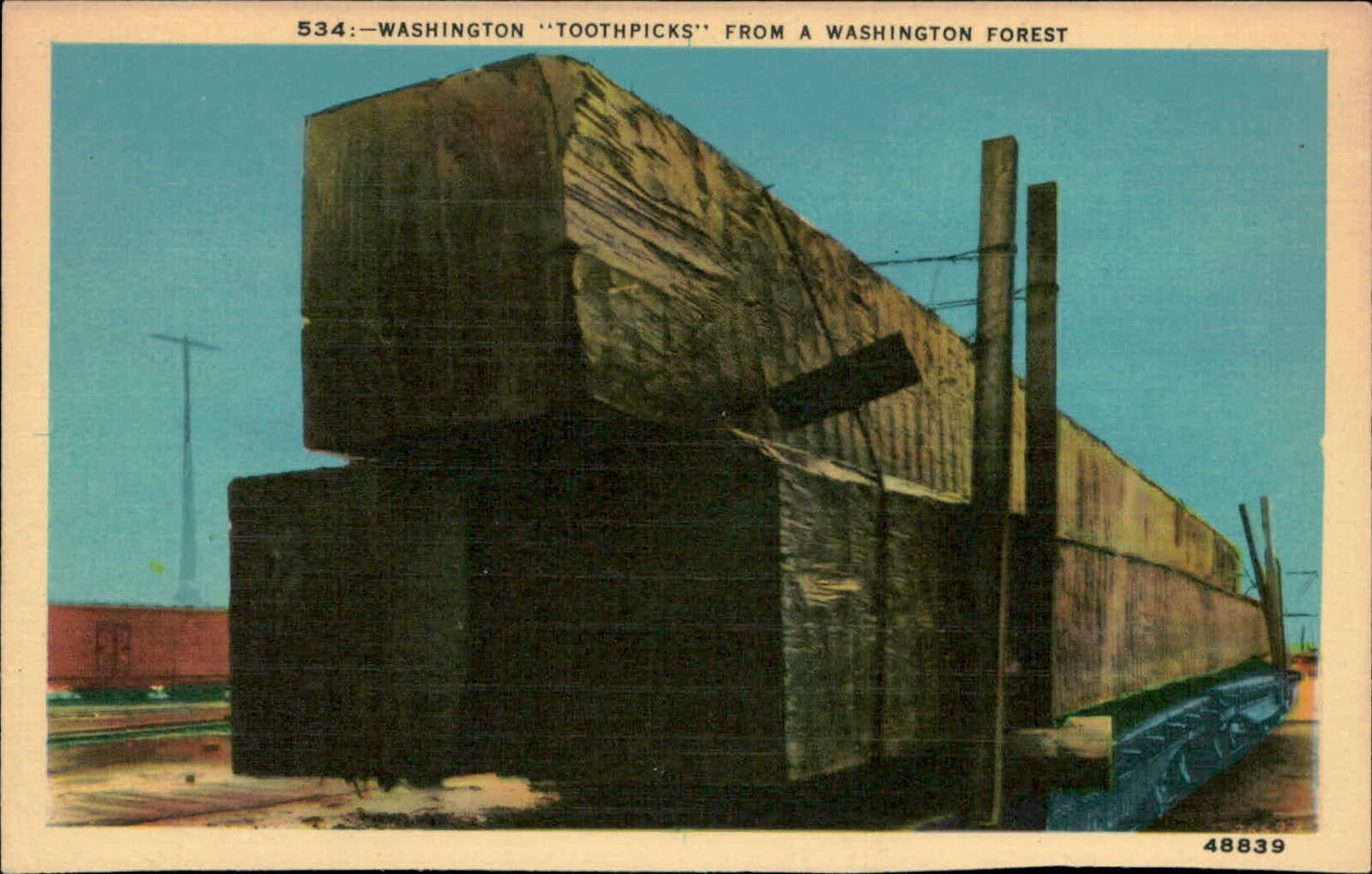 Postcard: 534:-WASHINGTON TOOTHPICKS\