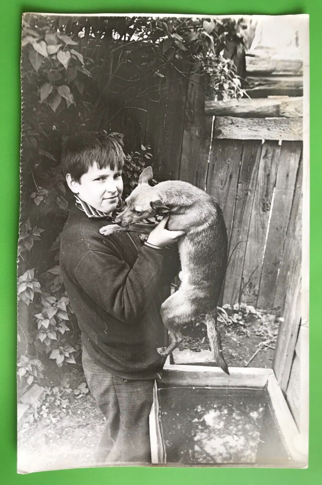 Handsome Guy with a Dog Affectionate Attractive Young Man Gay Int Vintage Photo