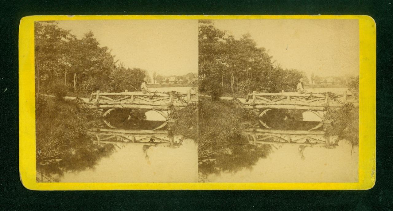 a746, E & H T Anthony Stereoview, #7205, Rustic Bridge Near the Upper Lake 1870s