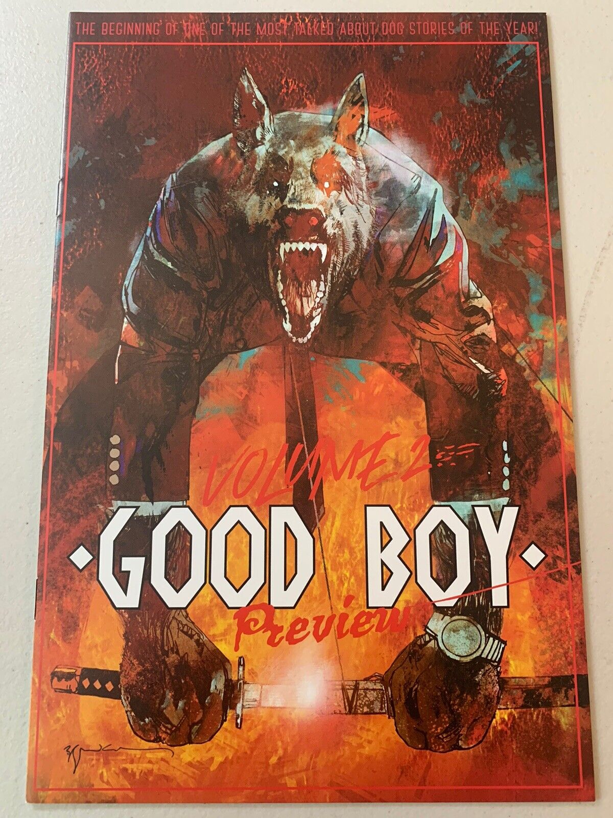 Good Boy Vol. 2 Ashcan (2022) Source Point Publishing