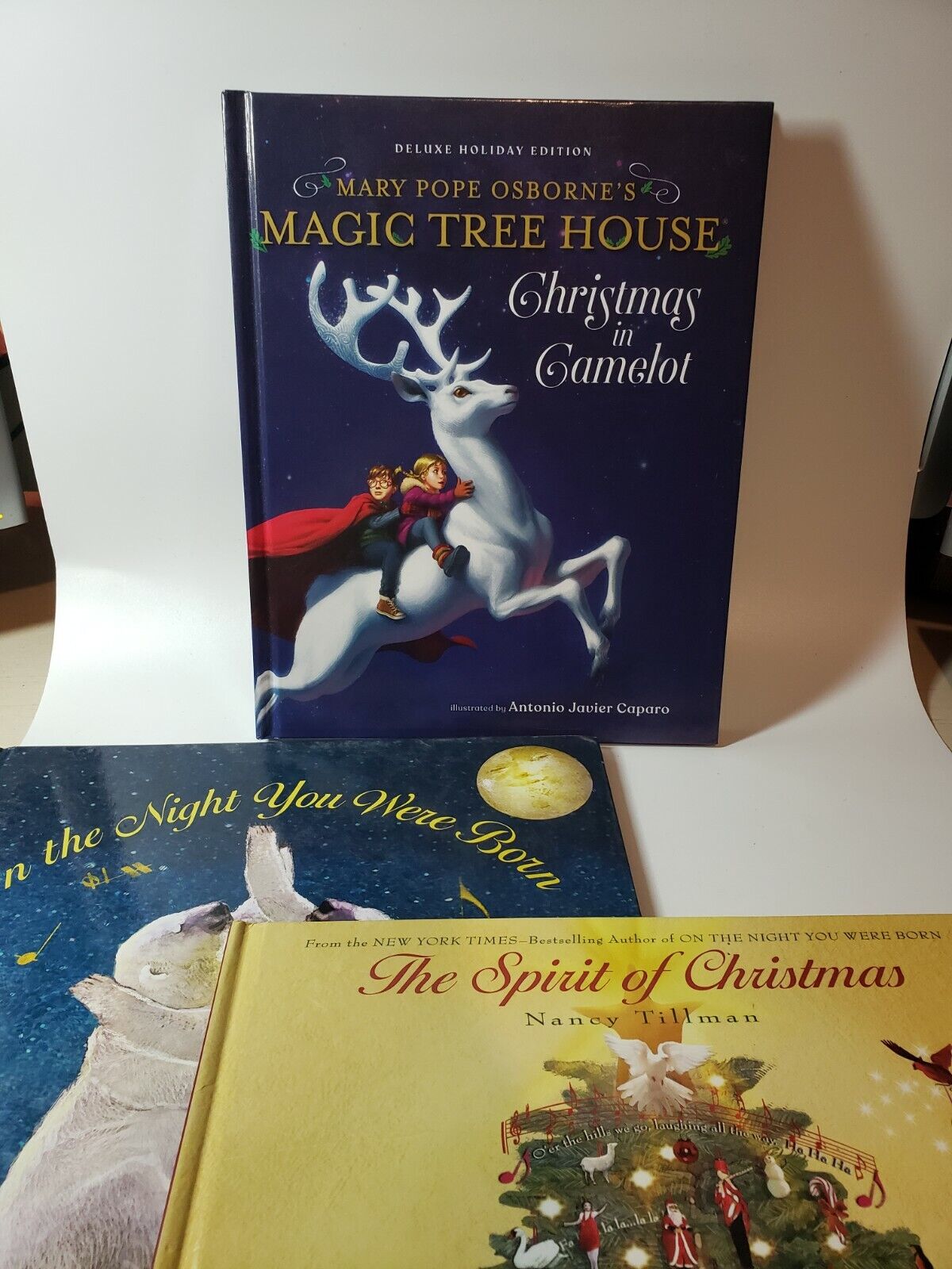 LOT OF 3 CHILDREN'S HOLIDAY BOOKS Magic Tree House, Spirit of Christmas, Night