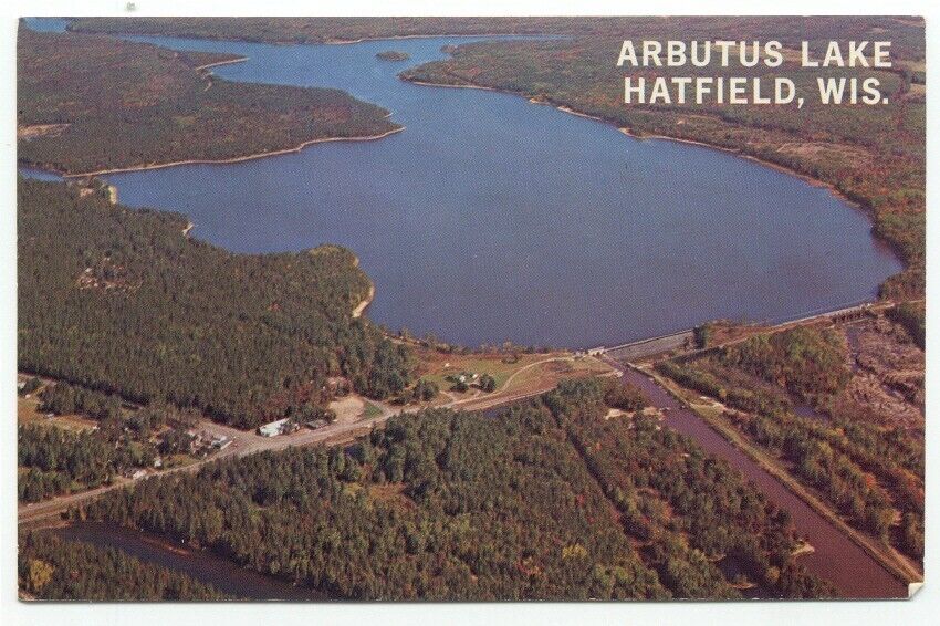 Hatfield WI Arbutus Lake Vintage Postcard - Wisconsin