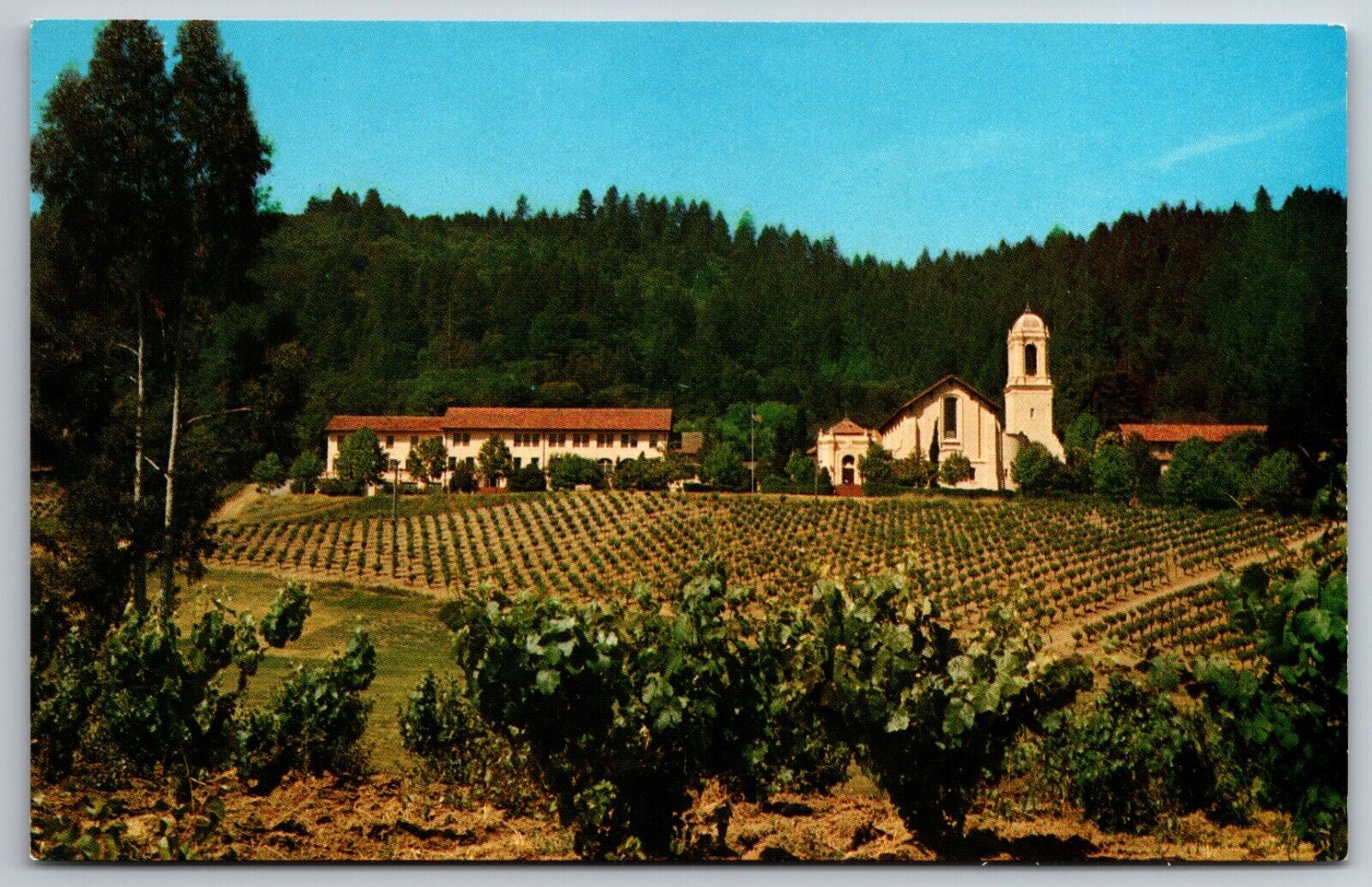 The Christian Brothers Monastery and Winery Napa California CA Vintage  Postcard