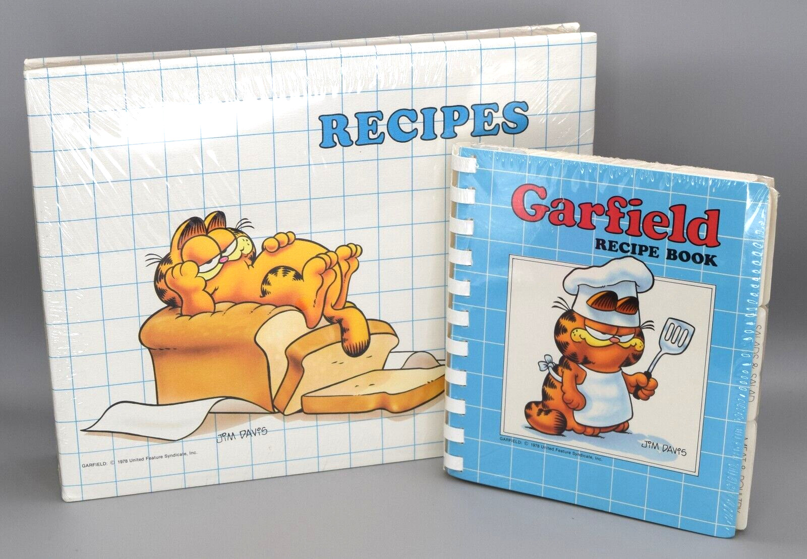 Vintage Garfield Recipes Accordion Folder Organizer Recipe Book Grill Cook Chef