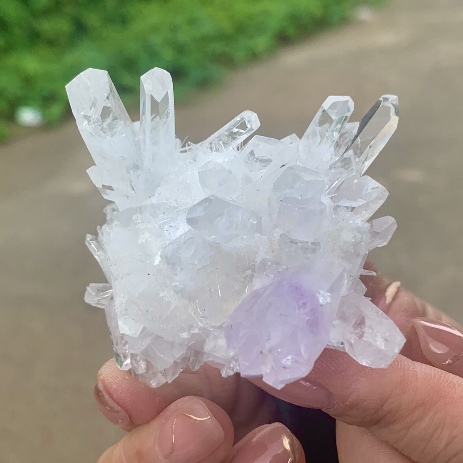 109g  New Find white+purple PhantomQuartz Crystal Cluster MineralSpecimen