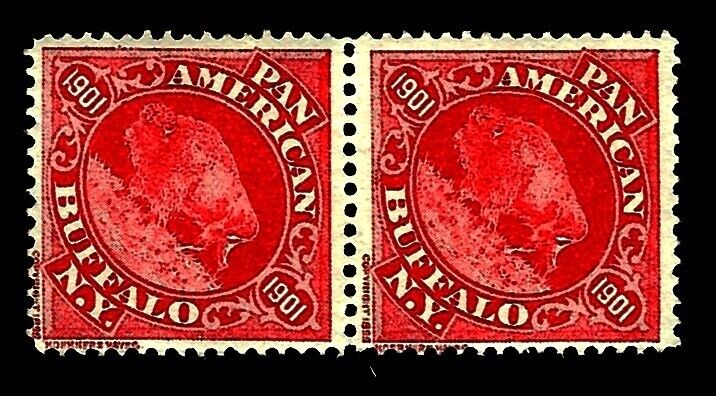 1901 Pan American Exposition BC10 Standing Buffalo Cinderella Stamp PAIR Expo