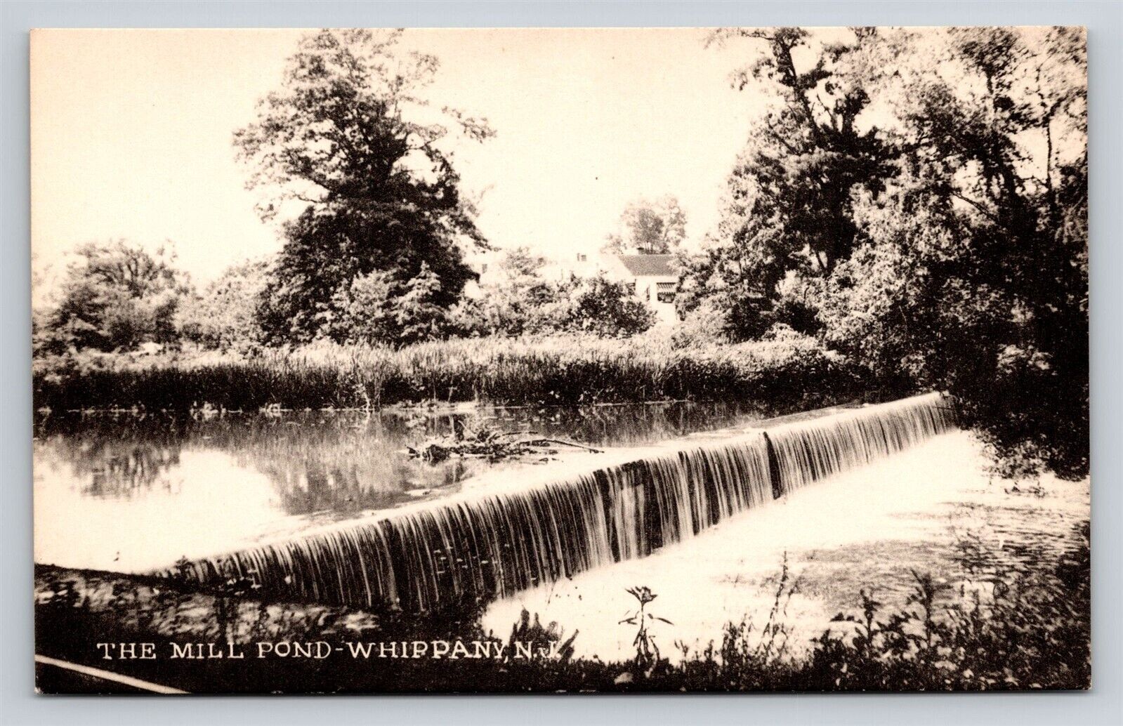 Whippany New Jersey NJ The Mill Pond The Collotype Co Vtg Postcard View Unused
