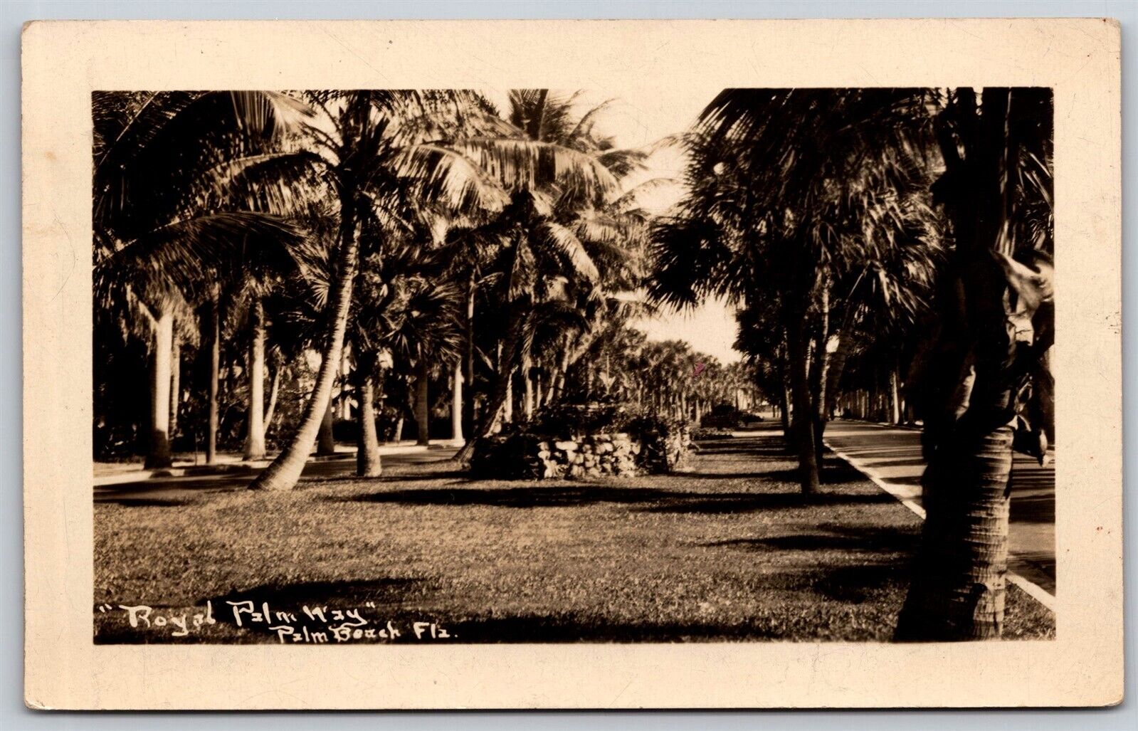 Postcard Royal Palm Way, Palm Beach, Florida RPPC P5