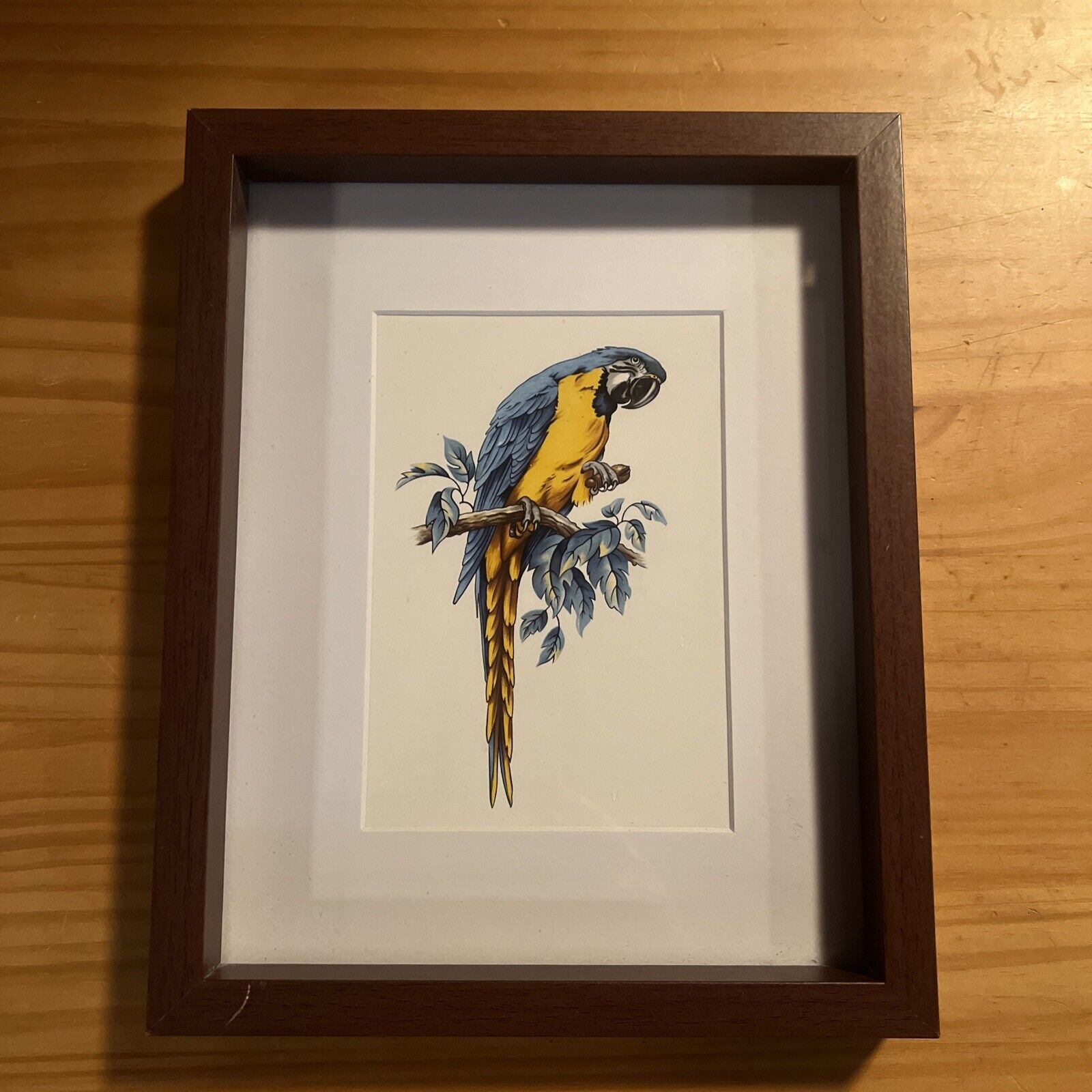 Parrot Blue And Gold Macaw Decorative Tile Art 8 x 6 Matted To 8 x 10 and Framed