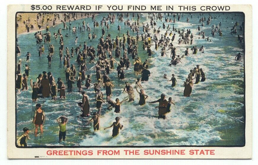 Florida Greetings From The Sunshine State Reward If You Find Me 1930s Postcard