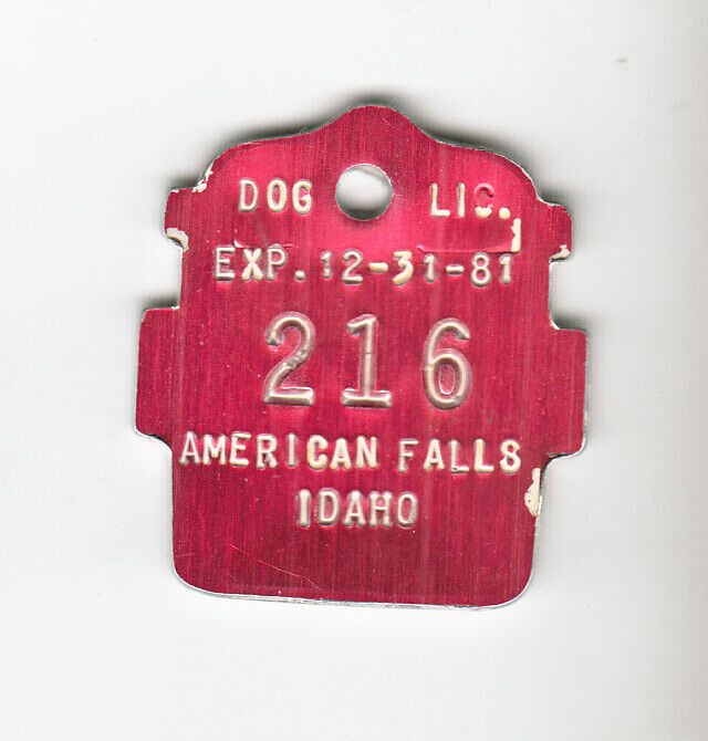1981 AMERICAN FALLS IDAHO DOG LICENSE TAG #100
