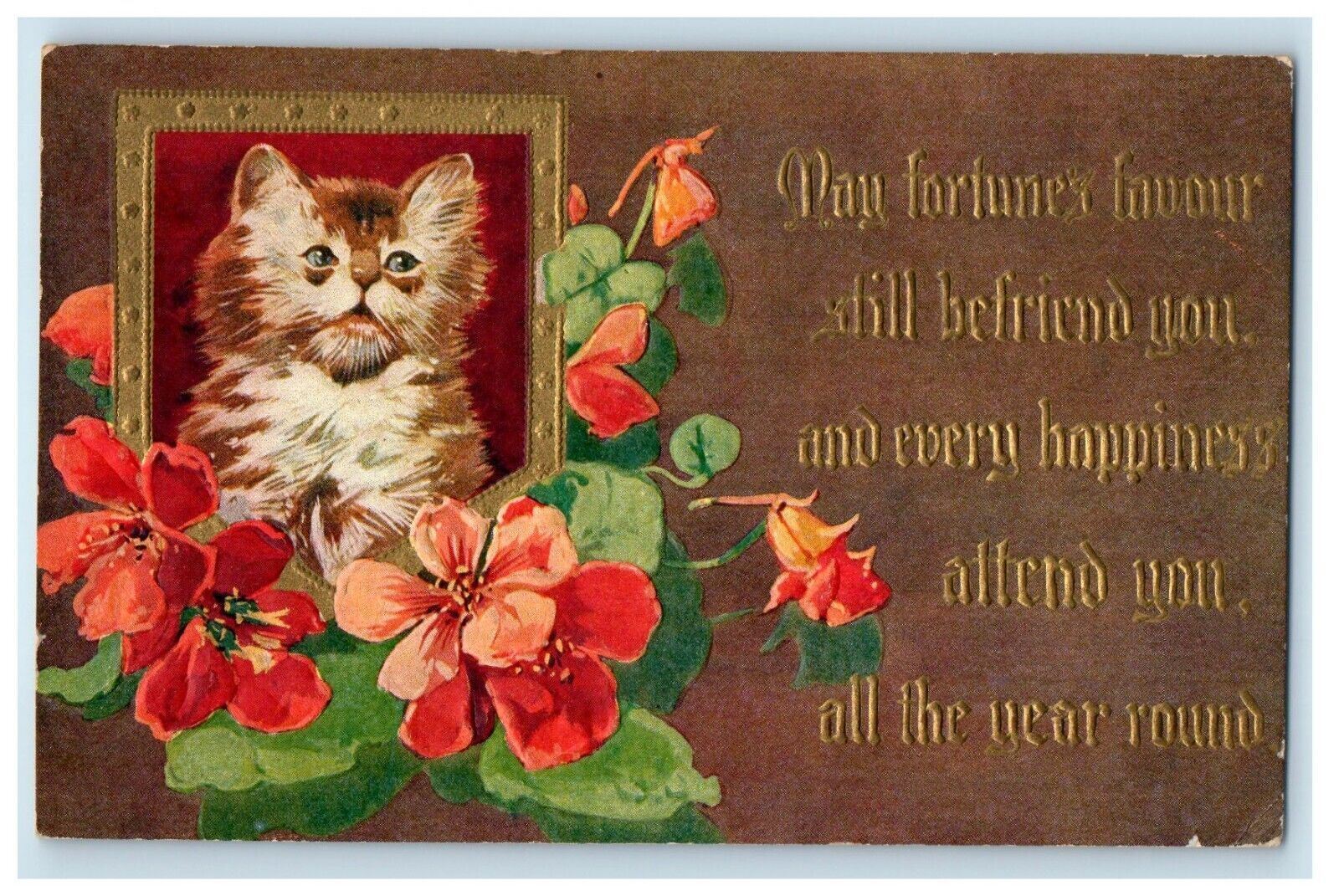 c1910\'s Cute Cat Red Flowers Winsch Back Embossed Posted Antique Postcard