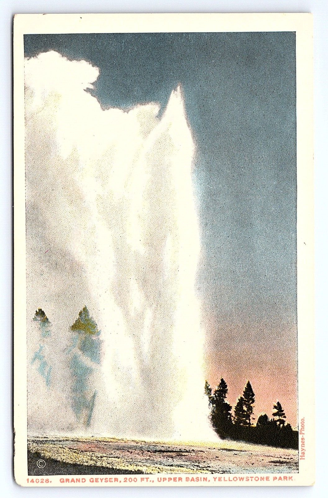 Postcard Grand Geyser Upper Basin Yellowstone Park Wyoming WY Haynes