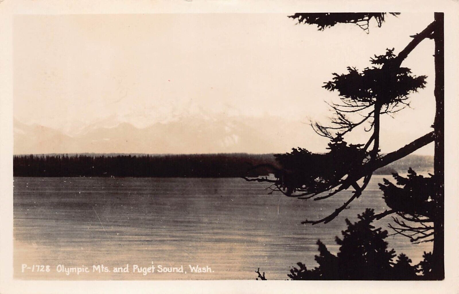 RPPC Puget Sound WA Washington Olympic Mountains Peninsula Vtg Postcard C46