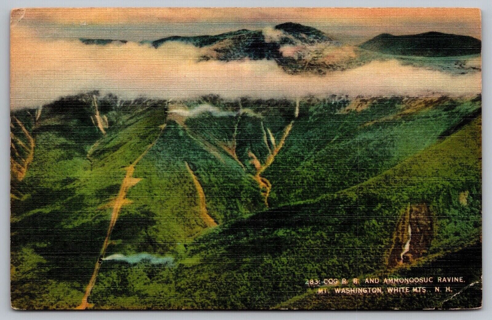 Cog RR Ammonoosuc Ravine Mount Washington White Mountains New Hampshire Postcard