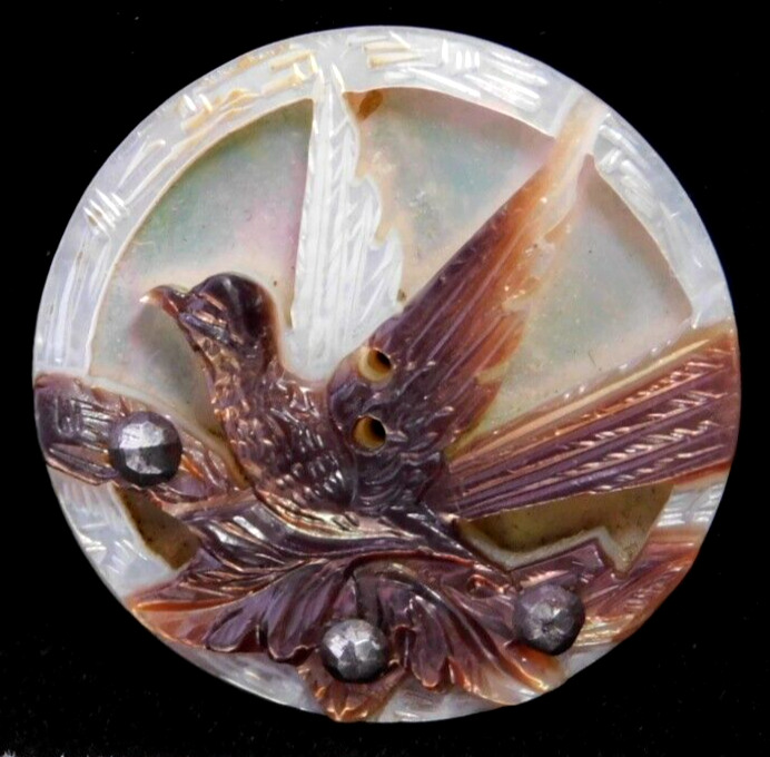 Antique Cameo Carved Pearl Shell Songbird BUTTON w Steels NICE 1&1/16
