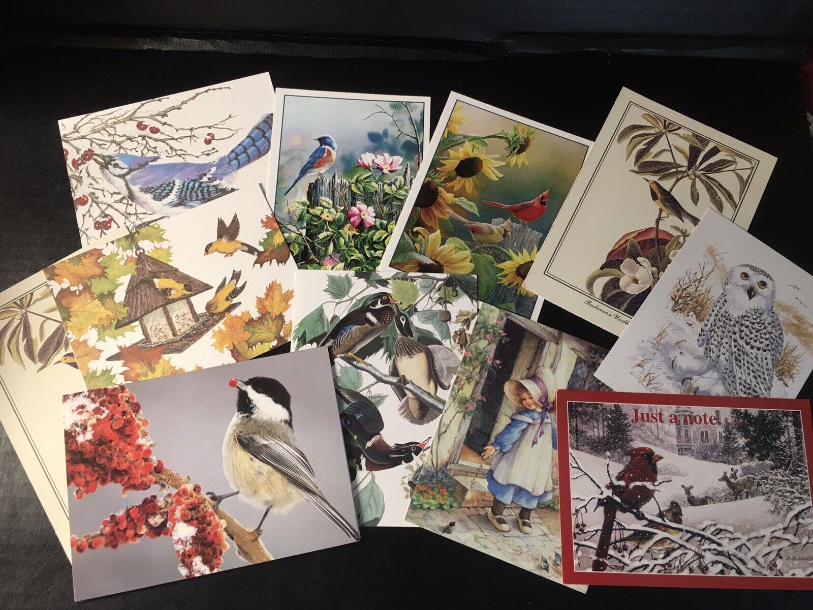 Vintage Lot Of 11 Bird Note Cards - Blank