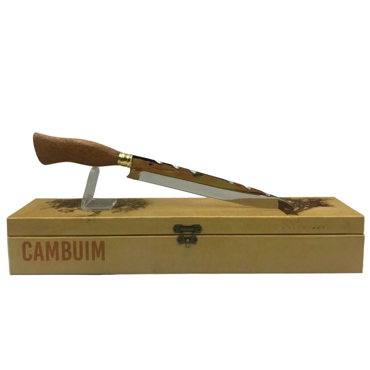 BV Cambuim 9 Inch. Surgical Steel