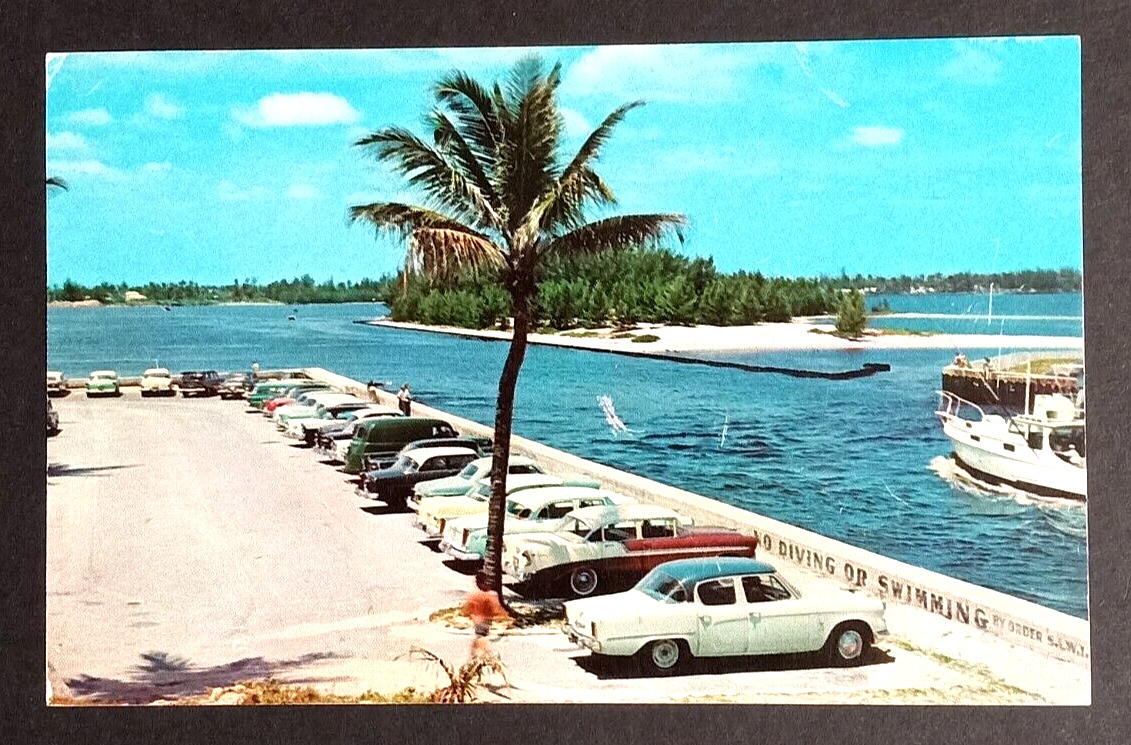 Boynton Inlet Old Cars Fishing Boat Palm Tree Florida Curt Teich Postcard c1960s