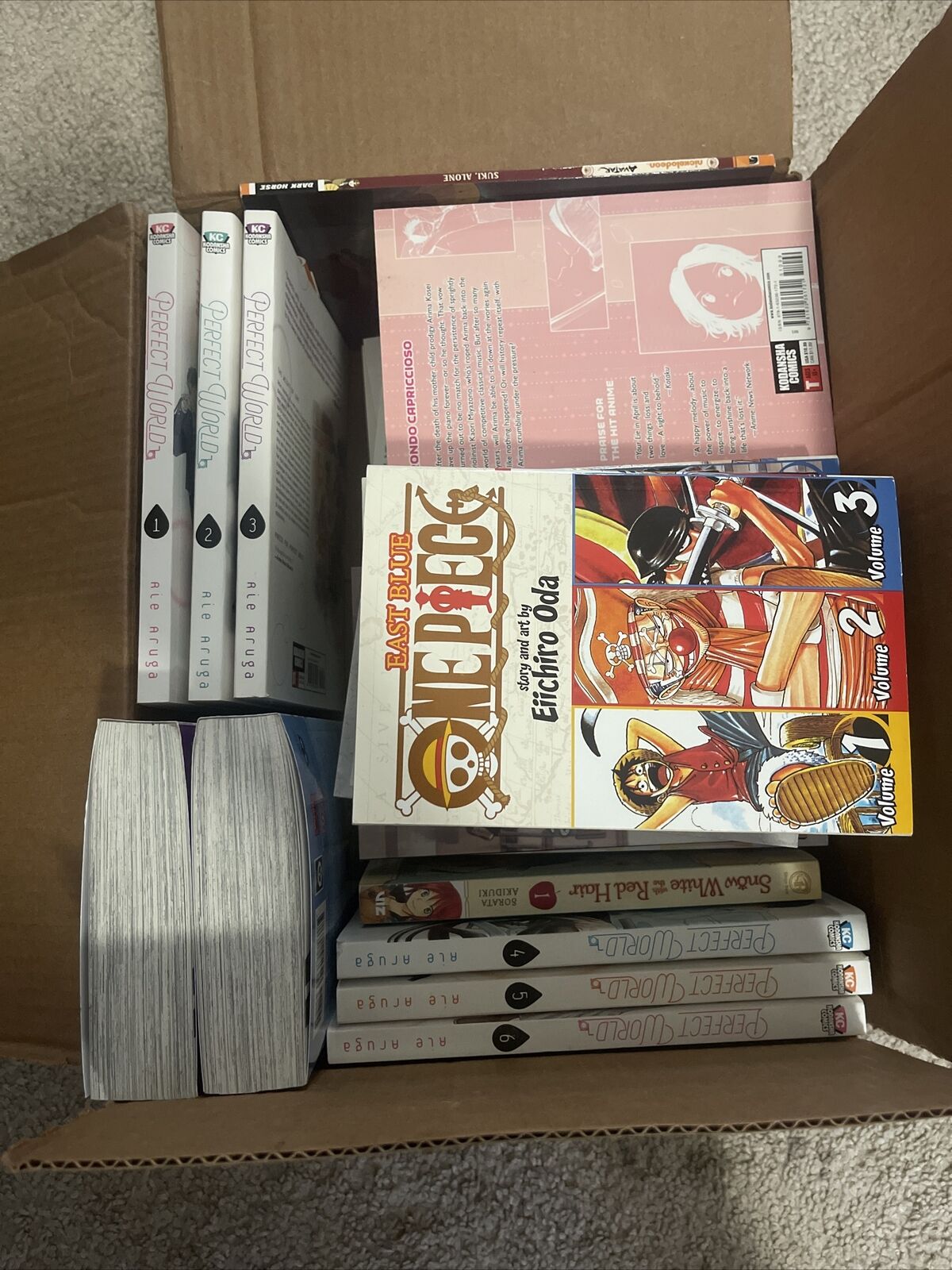Box of Manga, 29 Volumes in Total