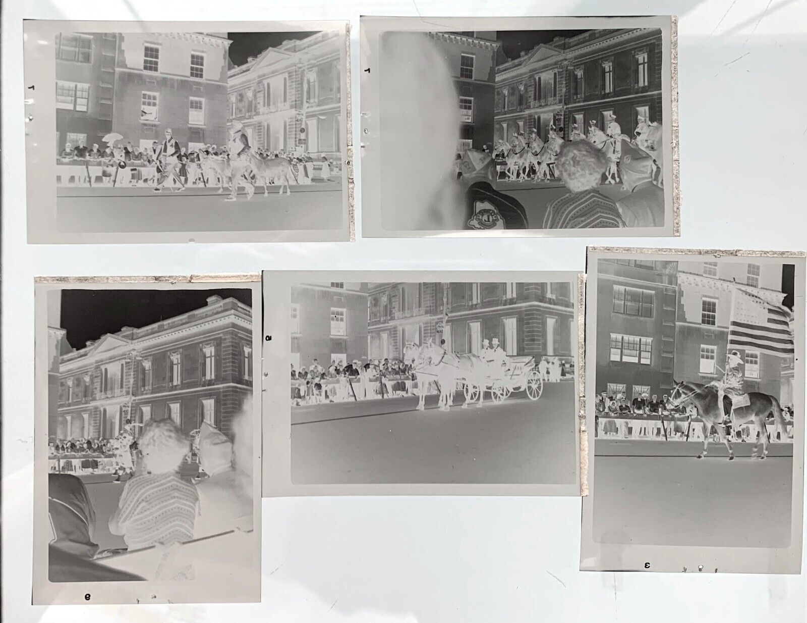 Old Photos Lions Parade Buildings  People Horses Flag NEGATIVES 1940s