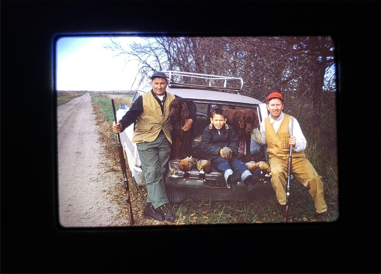3 Vintage 1950s Color 35mm Kodak Slide 2 Hunters Boy Rifles Dogs Fowl