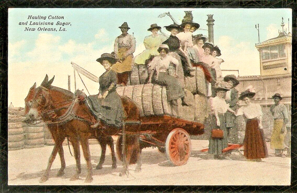 COTTON SUGAR WAGON 1910 New Orleans Postcard