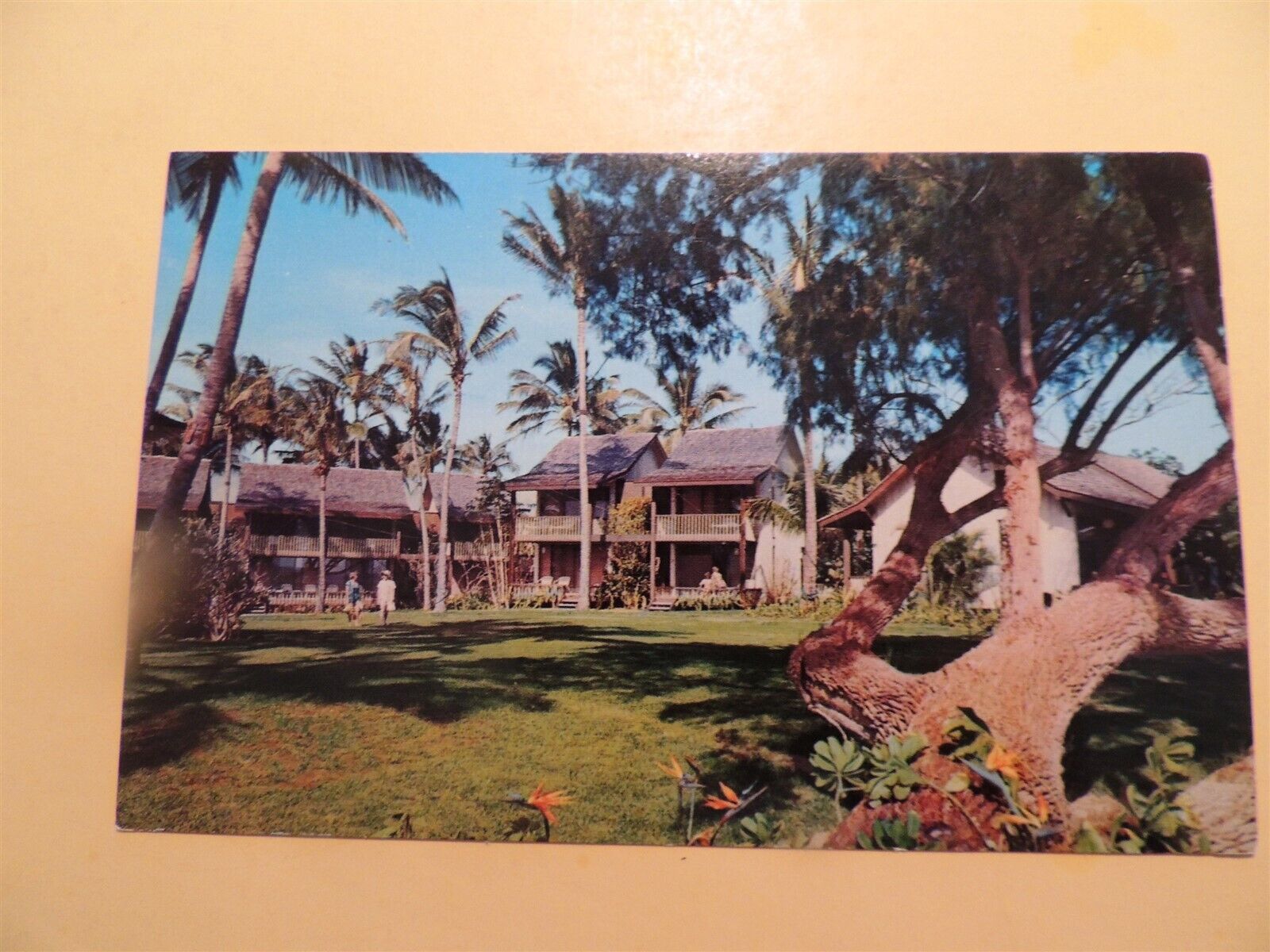 Waiohai Resort Poipu Beach Kauai Hawaii vintage postcard Kimball family