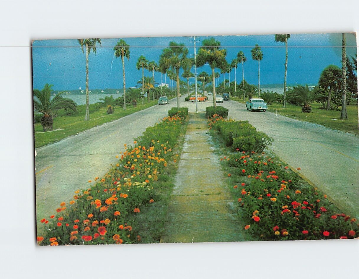 Postcard Flowerlined Causeway Clearwater Florida USA