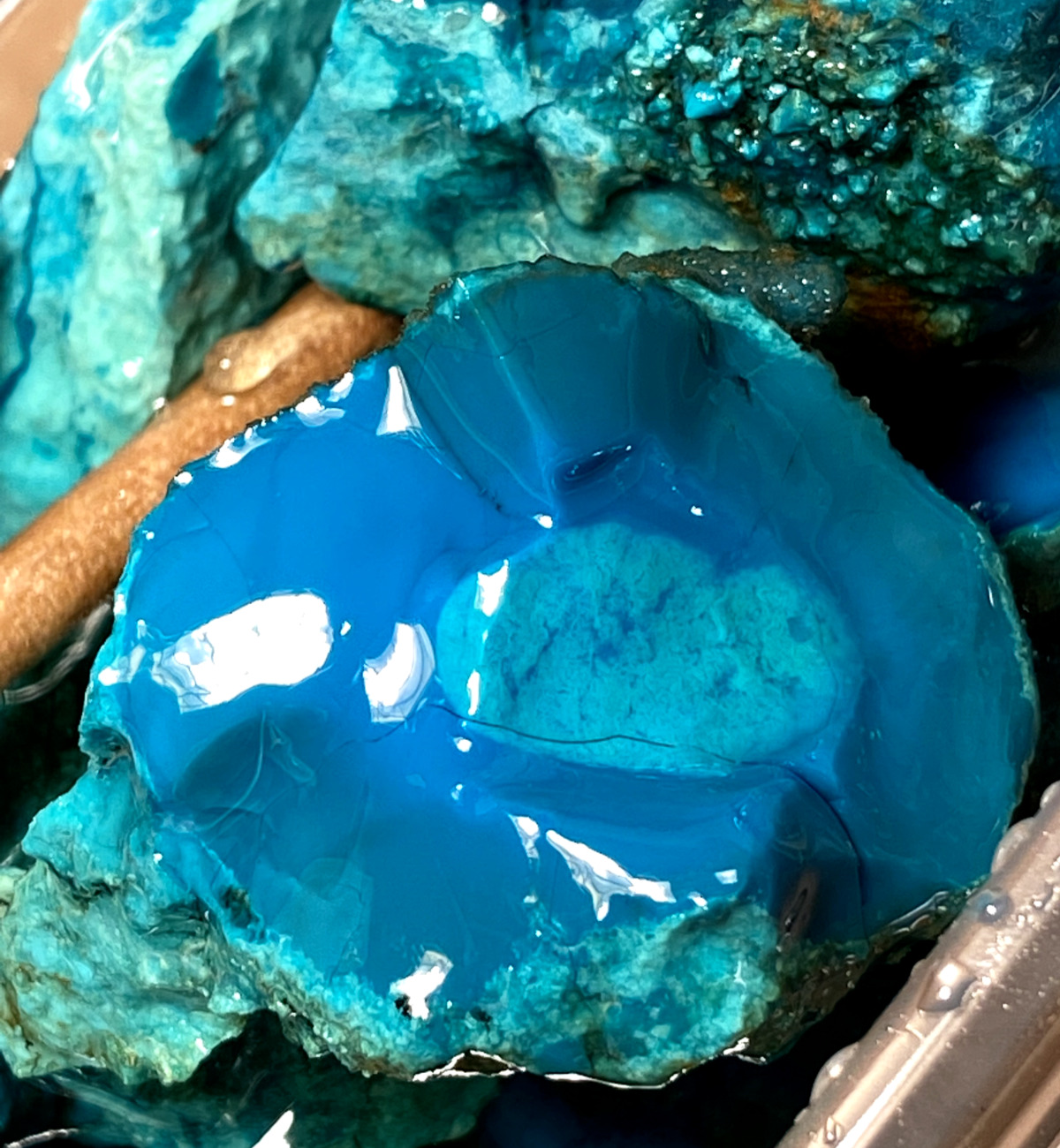 California Turquoise Rough - Water Web Lots - **Very High Quality