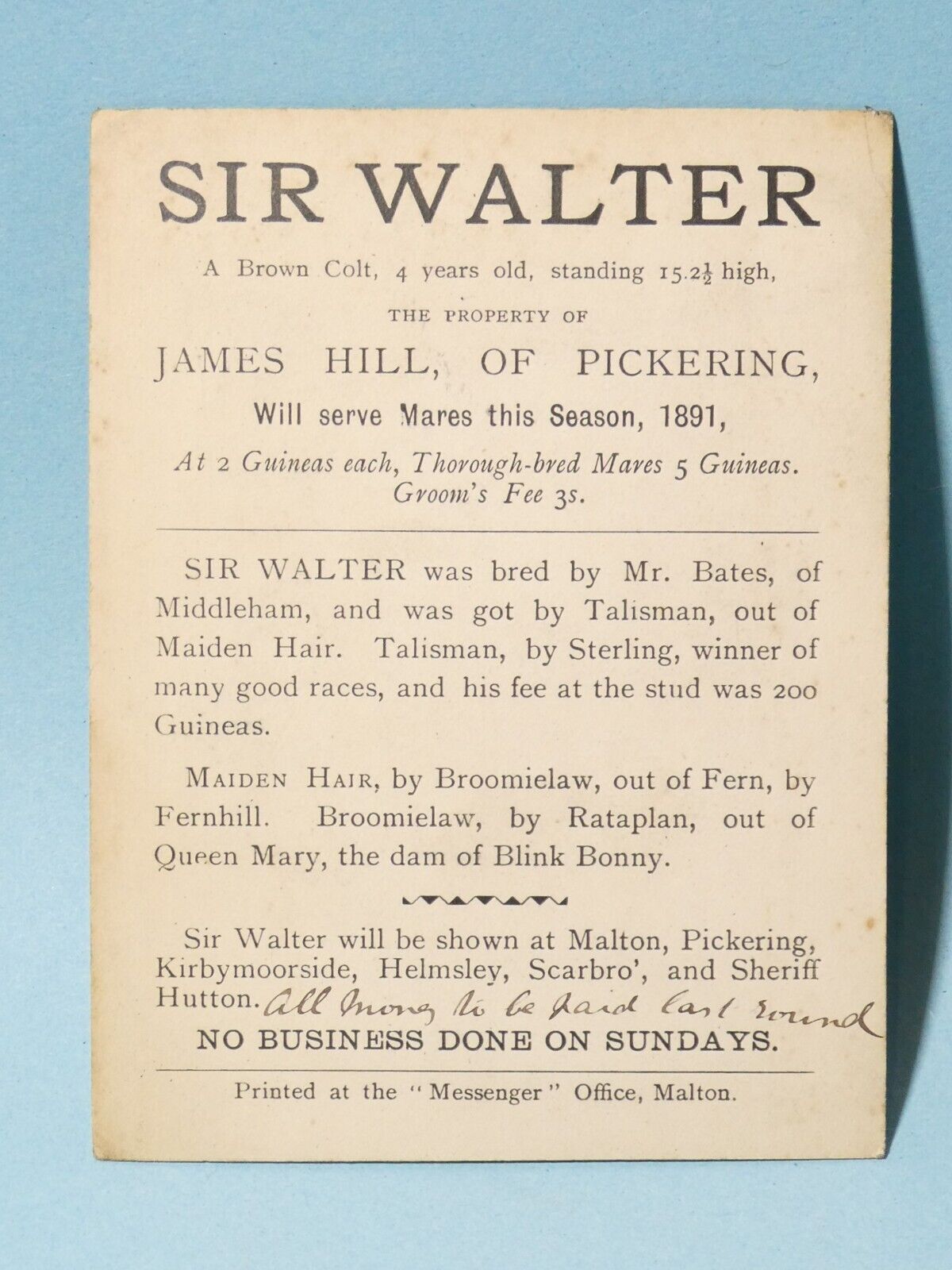 1891 SIR WALTER Horse Pedigree Serve Mares Card PICKERING Owner #HBW