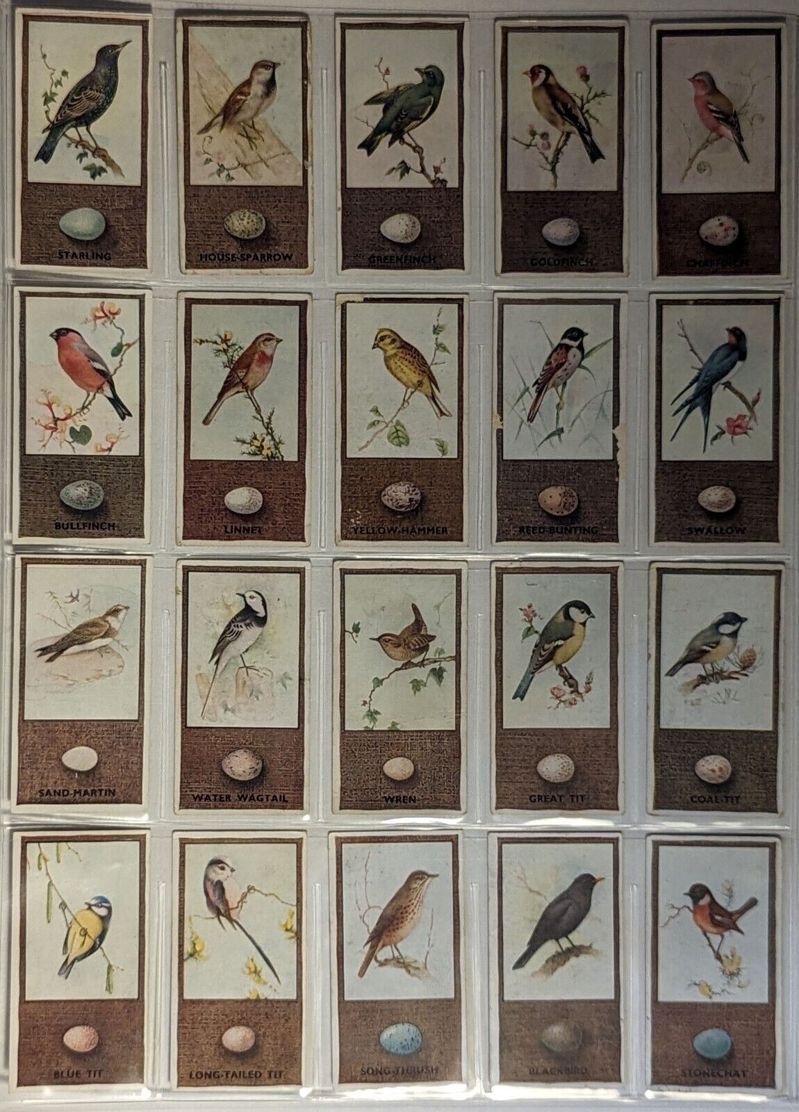 1936 Godfrey Phillips Ltd. Cigarettes British Birds And Their Eggs 50 Cards