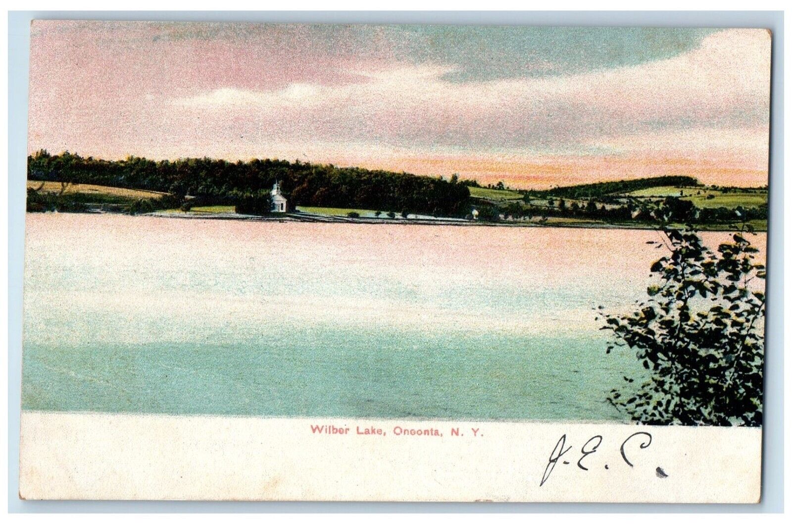 1907 Wilber Lake Scenic View Mountains Oneonta New York Vintage Antique Postcard