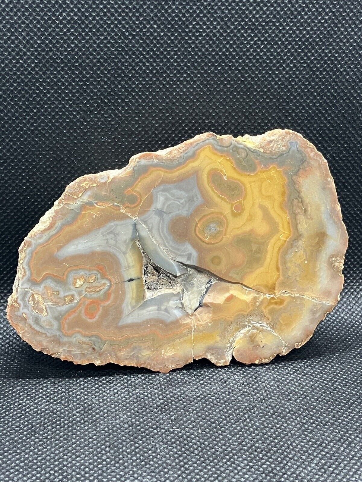 CUT AND POLISHED ESTIL COUNTY KENTUCKY Agate