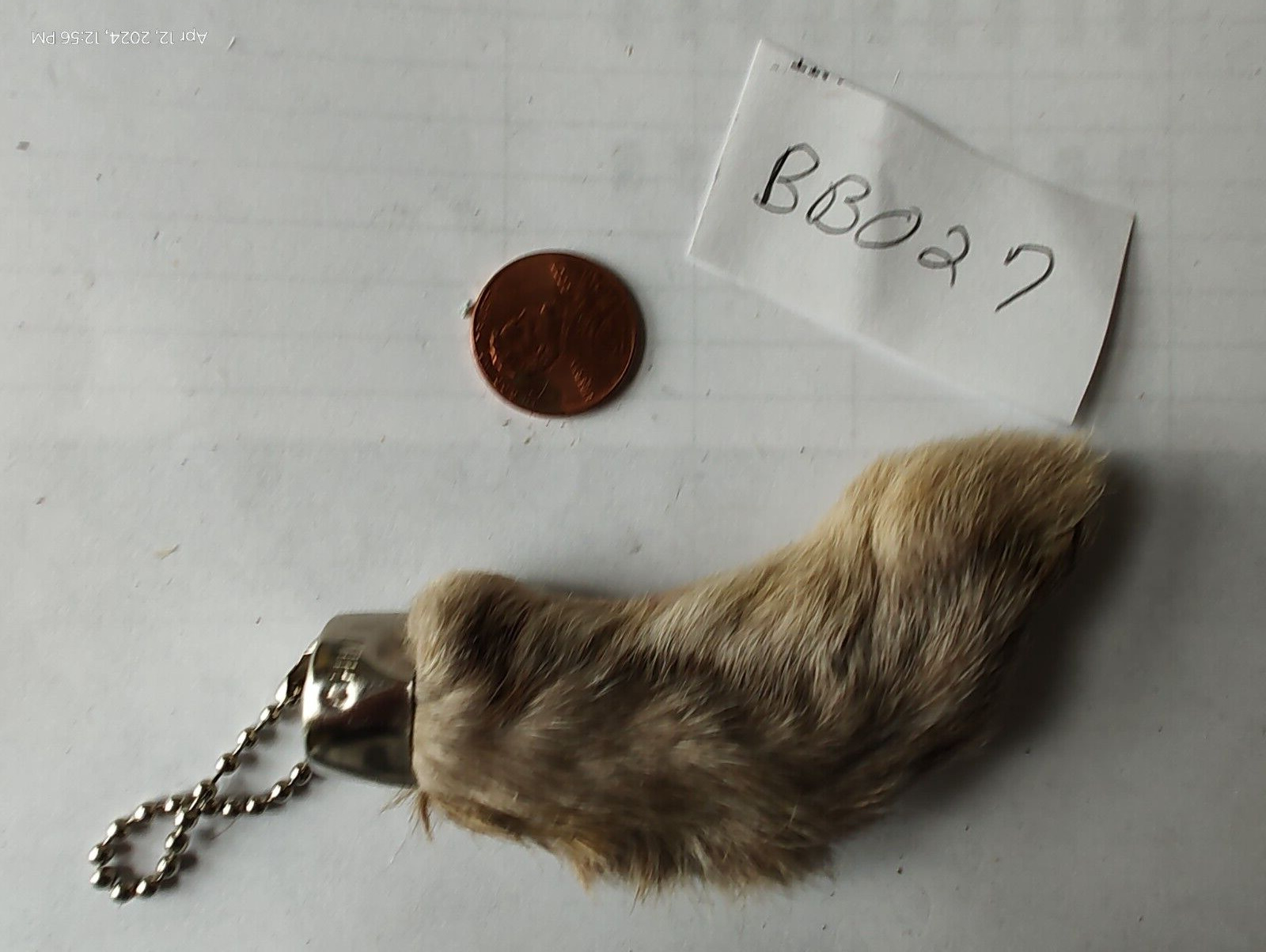 Real Natural Lucky Rabbit Foot Keychain with nails multi color Brown greys Bunny