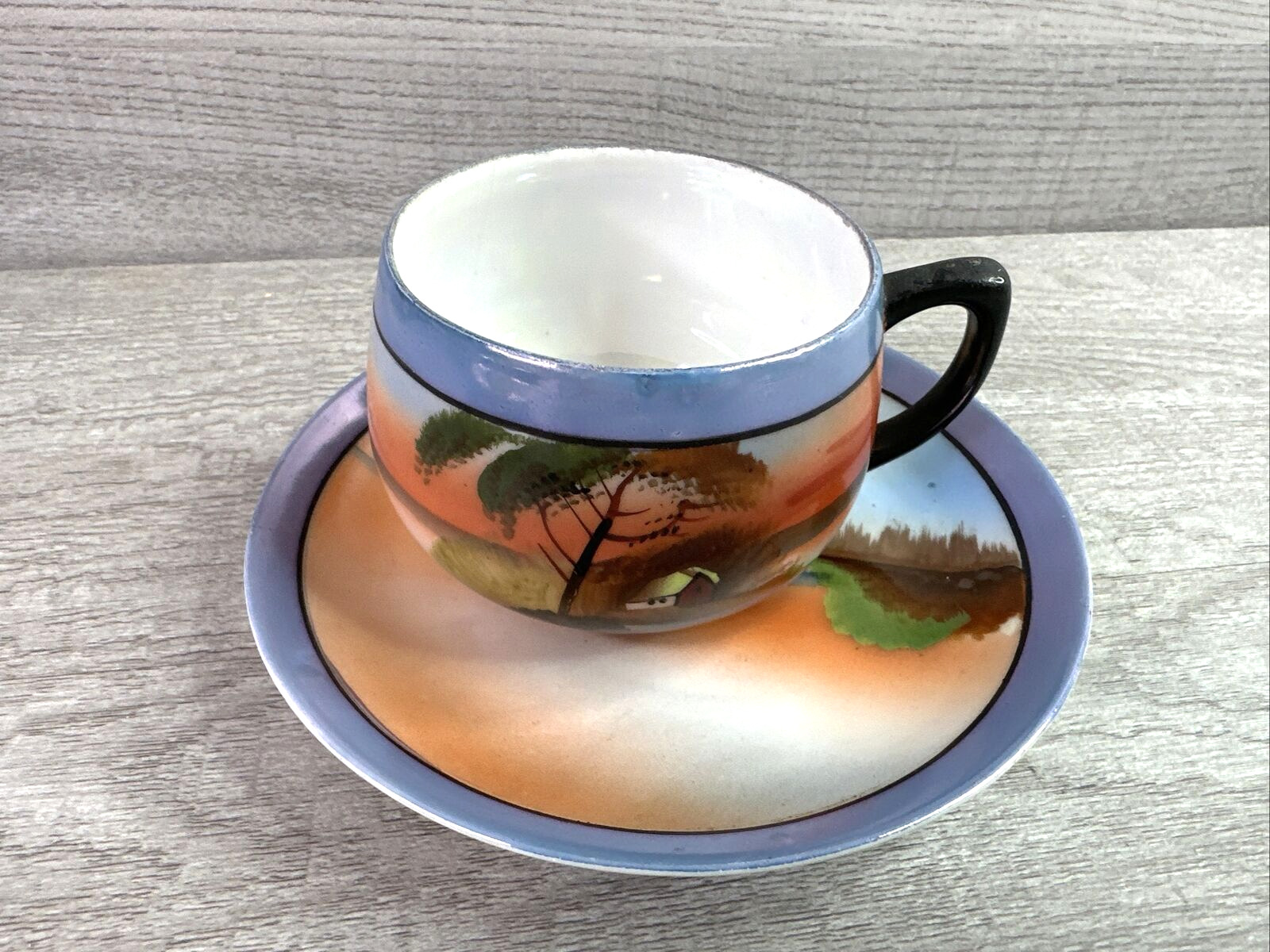 Vintage Hand Painted Scenic Chikaramachi Teacup And Saucer