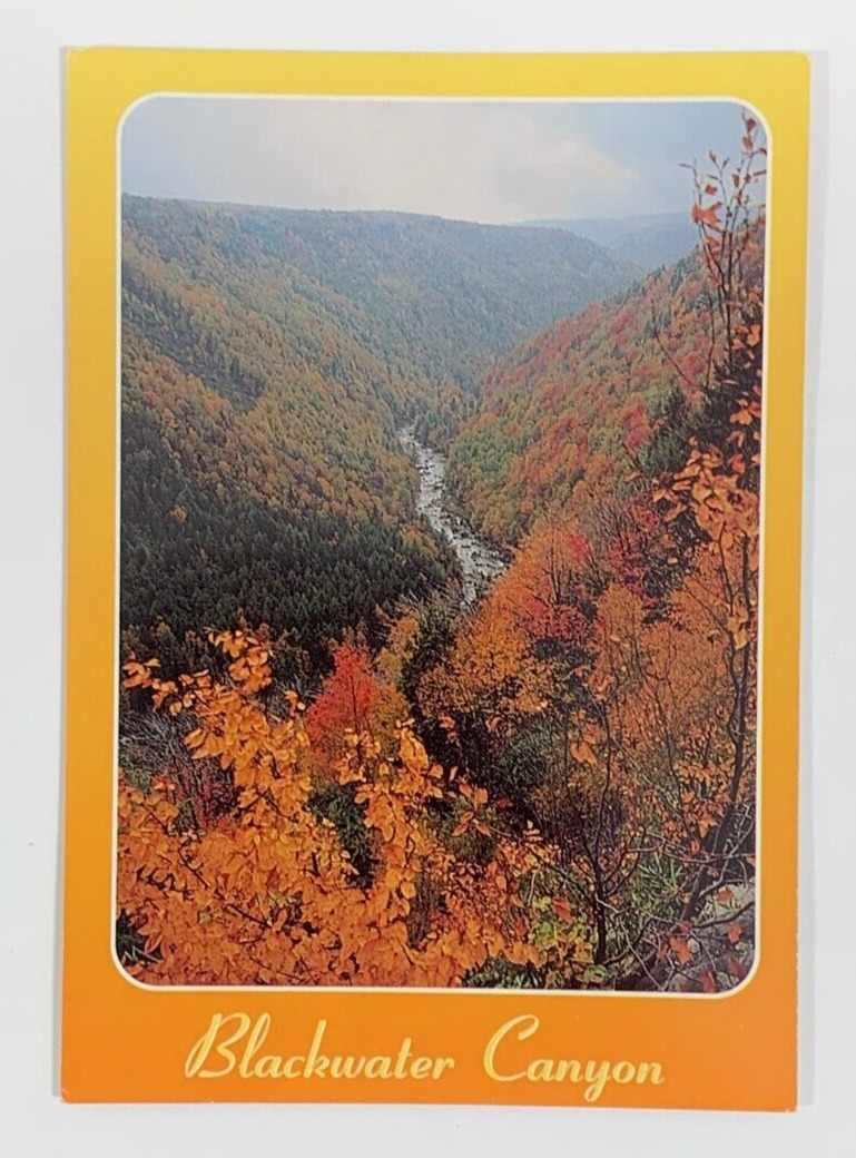 Blackwater Canyon From Blackwater Falls State Park West Virginia Postcard