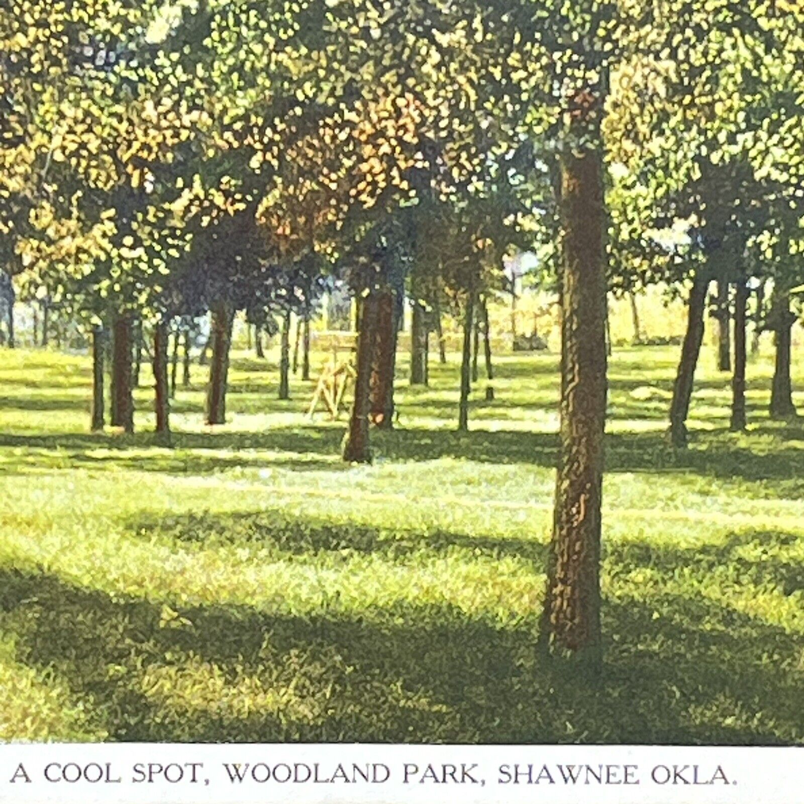 Vintage Shawnee, OK Postcard Woodland Park Posted 1908 Oklahoma