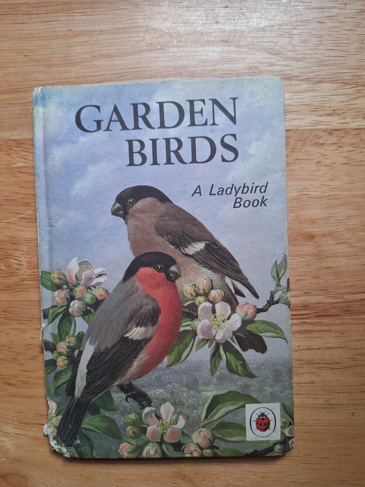 Vintage Garden Birds Ladybird book