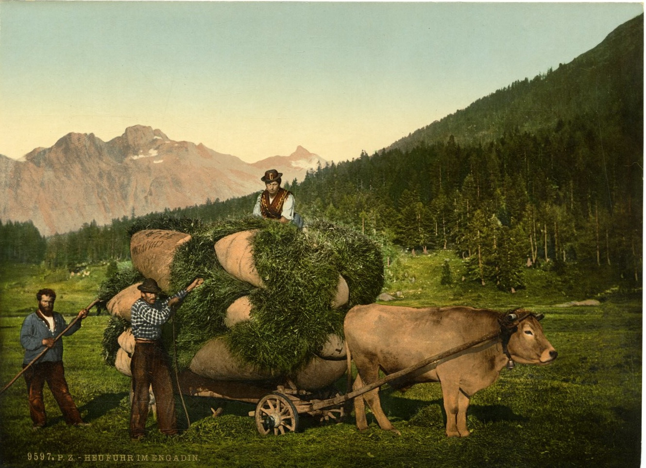 P.Z. Suisse, hay clock in the Engadine vintage print, Switzerland photochromy, vinta