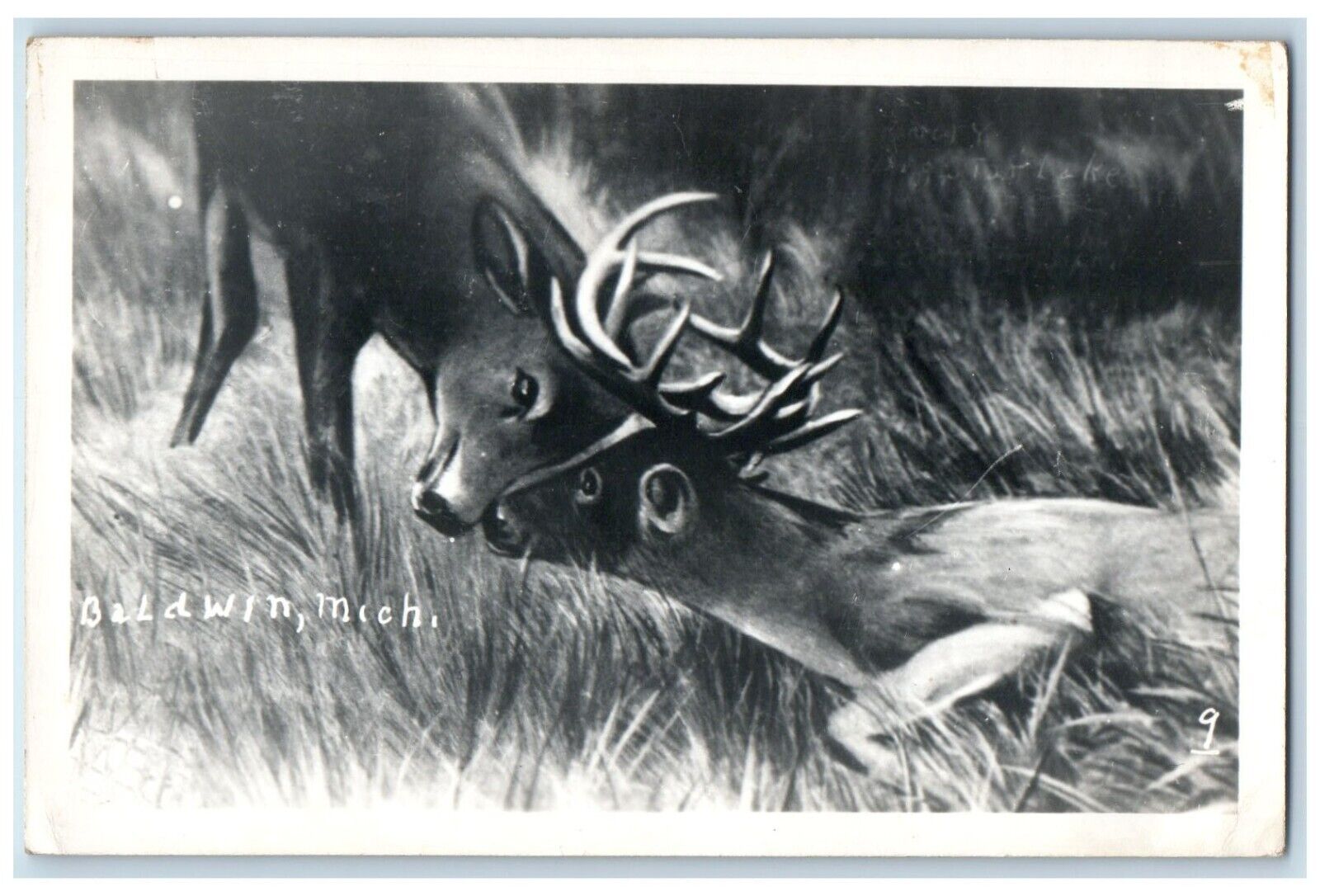 c1950\'s Deer Fighting Baldwin Michigan MI Unposted Antique RPPC Photo Postcard