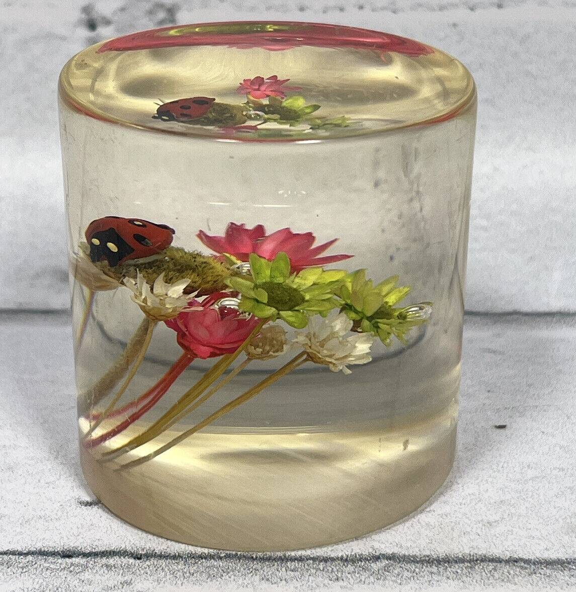 Vintage Lucite Paperweight Cylinder Ladybug Real Flowers Pink Green 1.75\